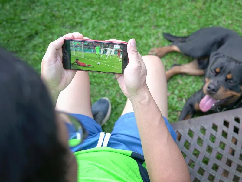 Assinatura TV Com Suporte